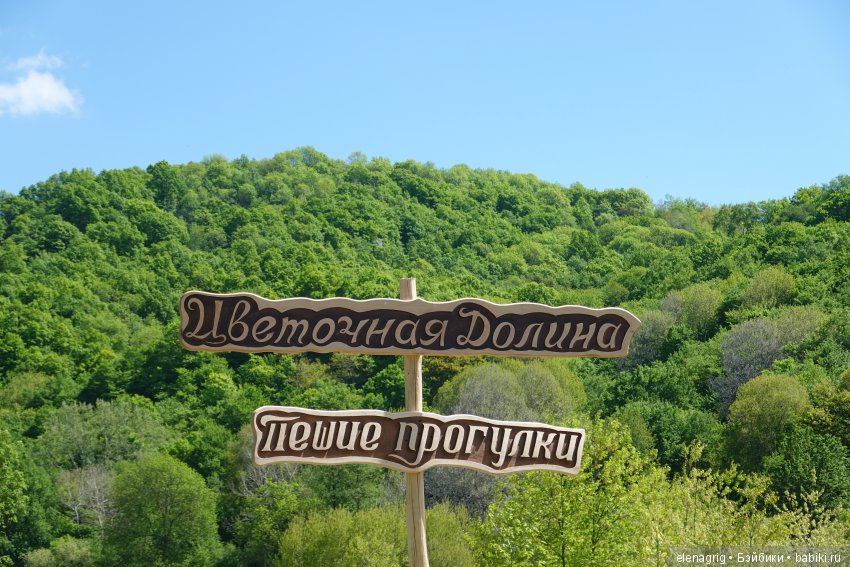 Цветочная долина — Куклы Dianna Effner (Эффнер) из винила: Little Darling