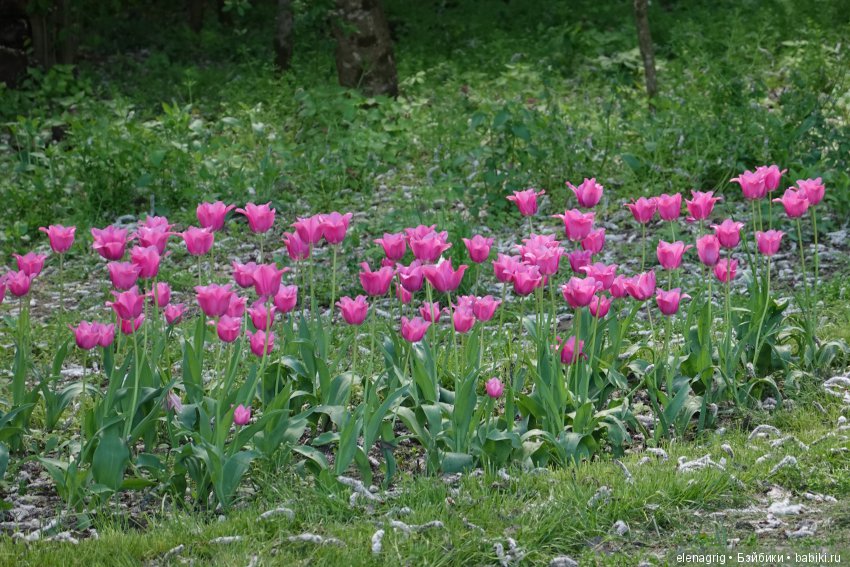 Коллекционные куклы Дианы Эффнер, Dianna Effner