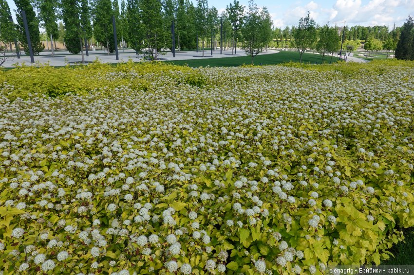 Краснодар, парк Галицкого