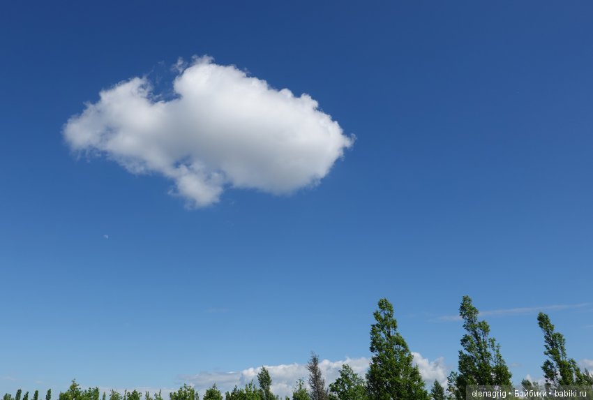 Краснодар, парк Галицкого