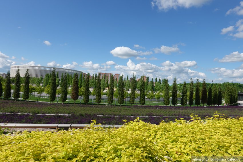 Краснодар, парк Галицкого