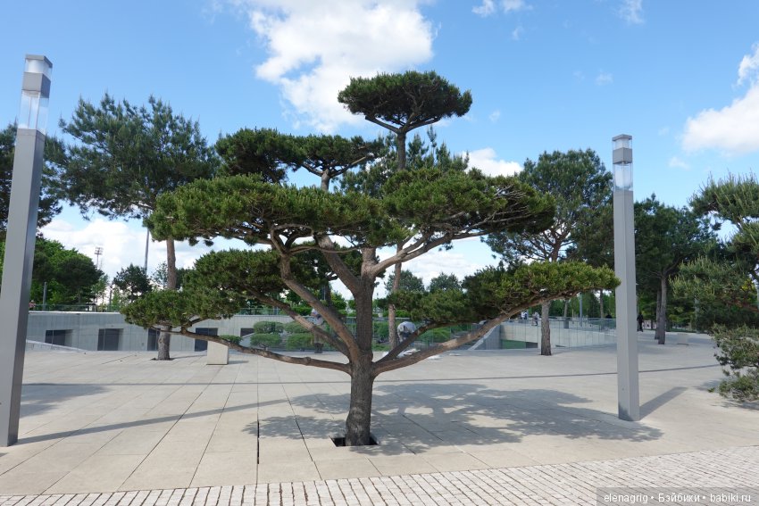 Краснодар, парк Галицкого