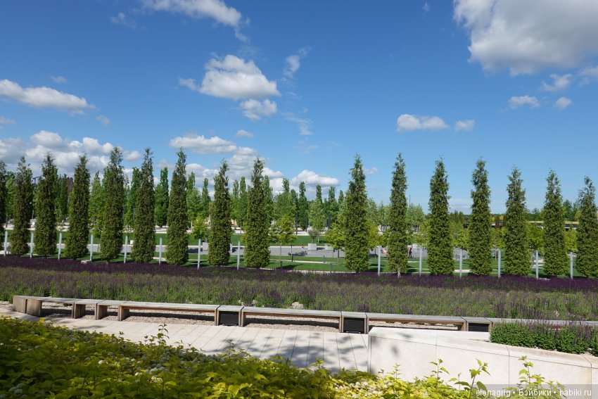 Краснодар, парк Галицкого