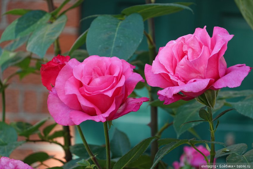 Натуся в Краснодаре — Разные шарнирные куклы (не БЖД): редкие