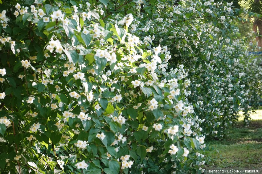 Натуся в Краснодаре — Разные шарнирные куклы (не БЖД): редкие (фото 4)