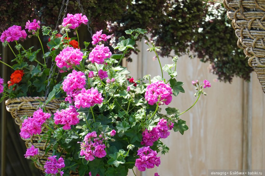 Натуся в Краснодаре — Разные шарнирные куклы (не БЖД): редкие