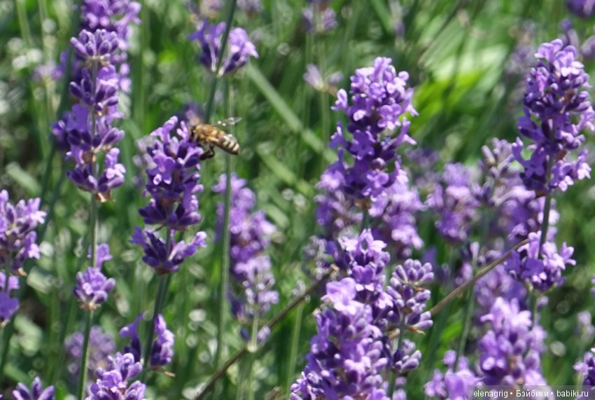 Натуся в Краснодаре — Разные шарнирные куклы (не БЖД): редкие (фото 10)