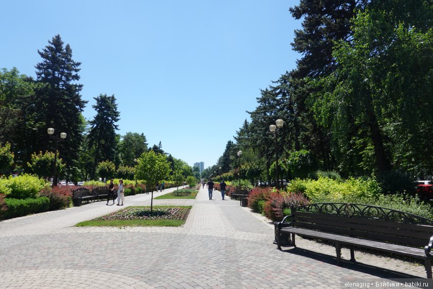 Натуся в Краснодаре — Разные шарнирные куклы (не БЖД): редкие