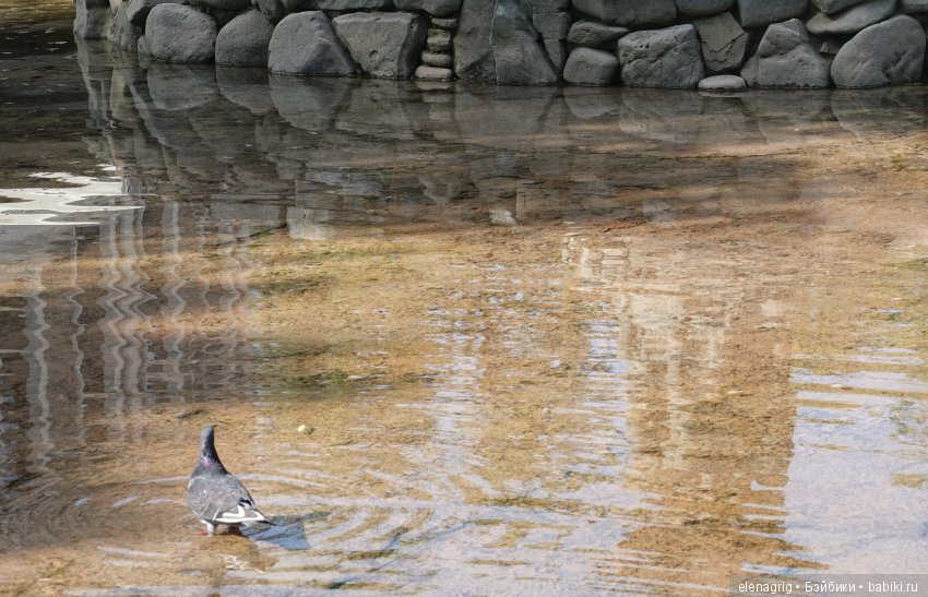 Старый парк — Куклы Kidz'n'Cats (Соня Хартман): шарнирные 46 см (фото 4)