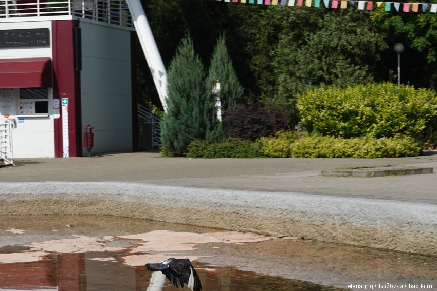 Старый парк — Куклы Kidz'n'Cats (Соня Хартман): шарнирные 46 см (фото 5)