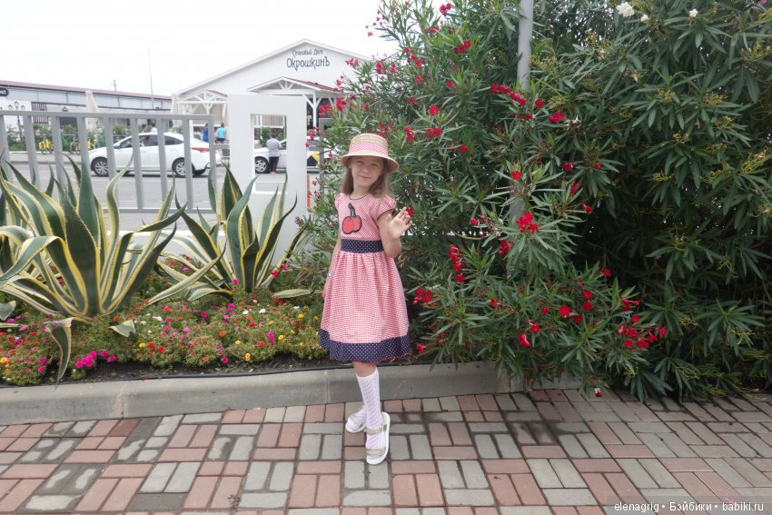 Сочи, Сочи, Сочи, ласковые ночи, золотые дни (фото 3)