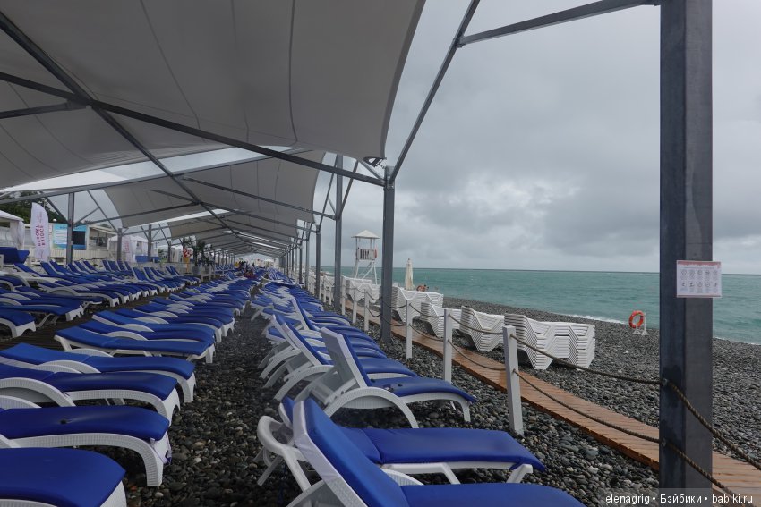 Сочи, Сочи, Сочи, ласковые ночи, золотые дни (фото 10)