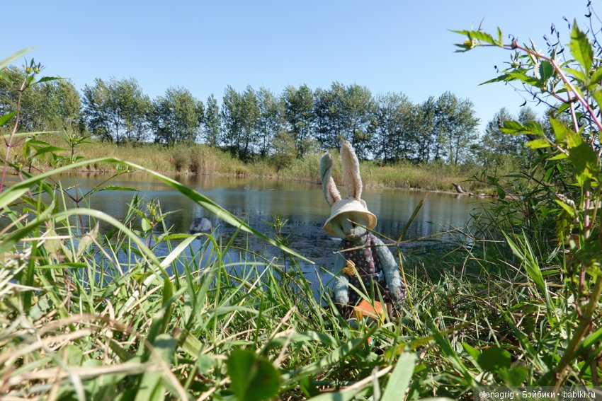 Выставка кукол и мишек в Адлере (фото 2)