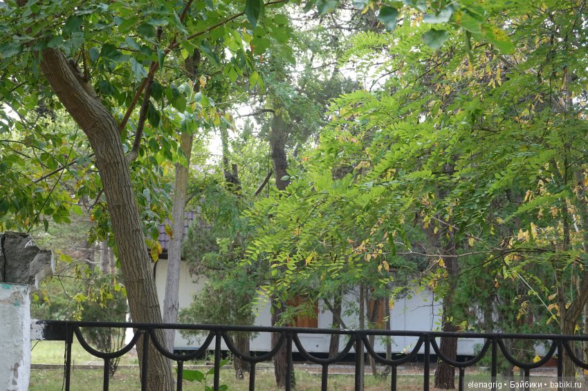 Плюшечки в Анапе — Куклы Heidi Plusczok (Хайди/Хейди Плюсчок) — фото