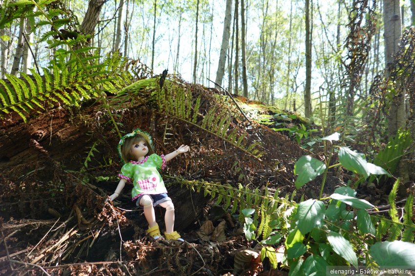 кукла  Xiaomi monst