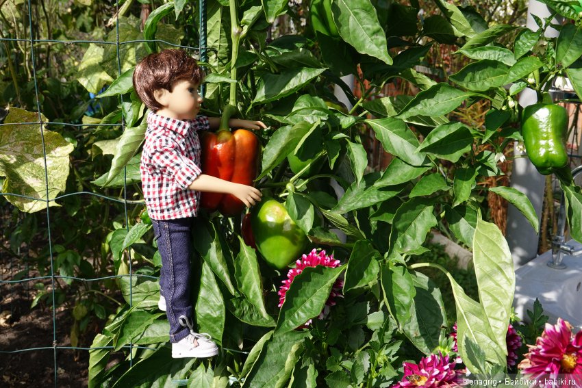 Коллекционные куклы Дианы Эффнер, Dianna Effner