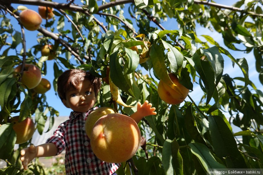 Коллекционные куклы Дианы Эффнер, Dianna Effner