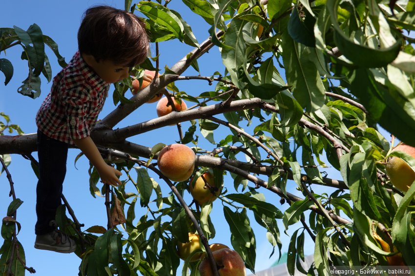 Коллекционные куклы Дианы Эффнер, Dianna Effner