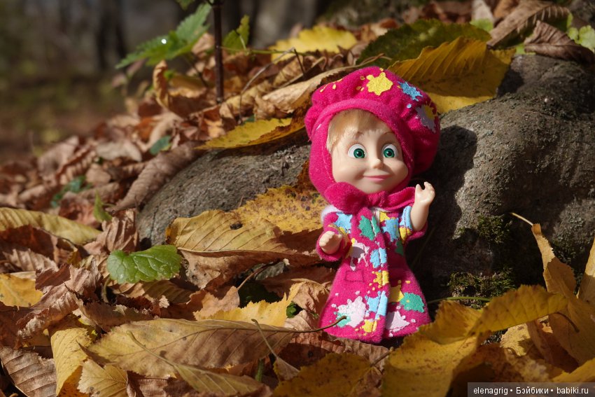 Машки в кармашке