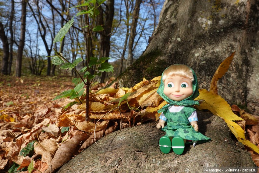 Машки в кармашке