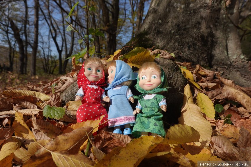 Машки в кармашке