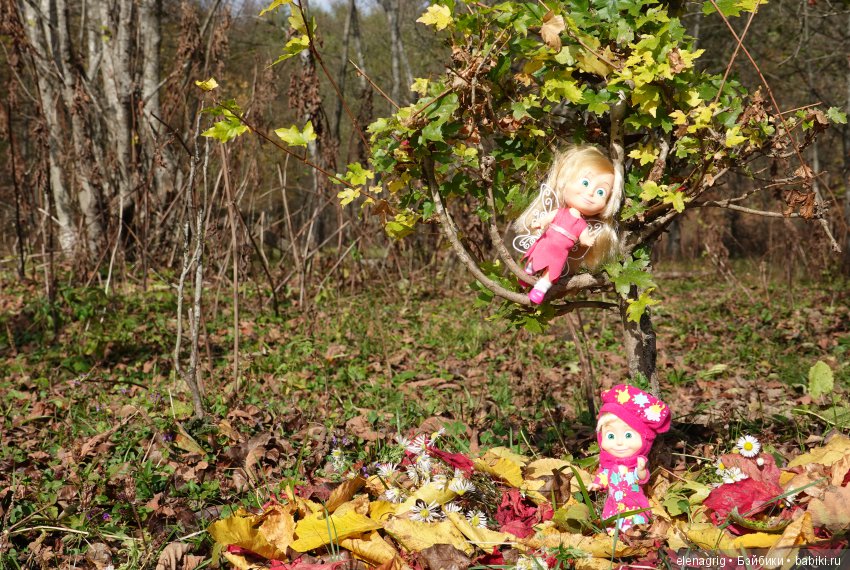 Машки в кармашке