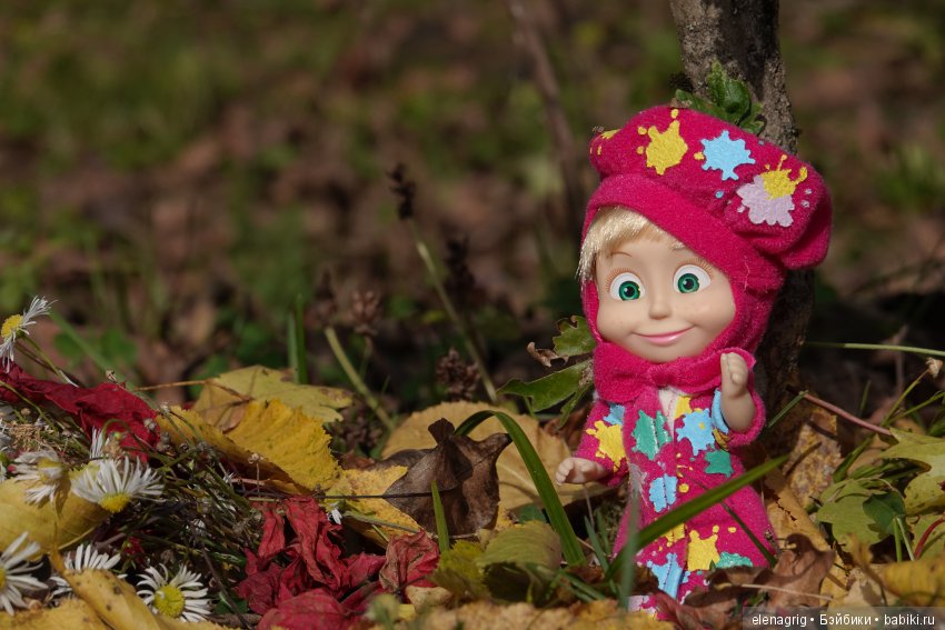 Машки в кармашке