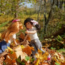 Ах, какое это чудо - лес осенний золотой