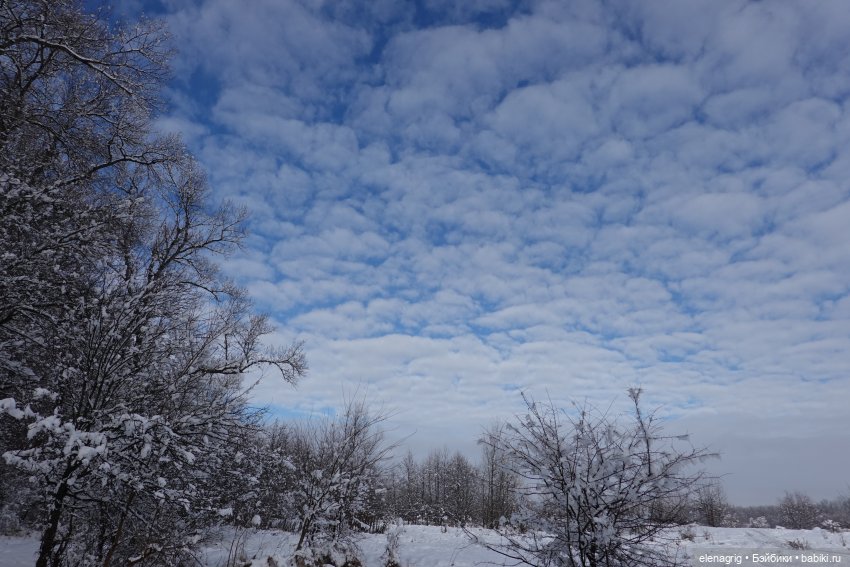 Как плюшечки ёлку в лесу наряжали