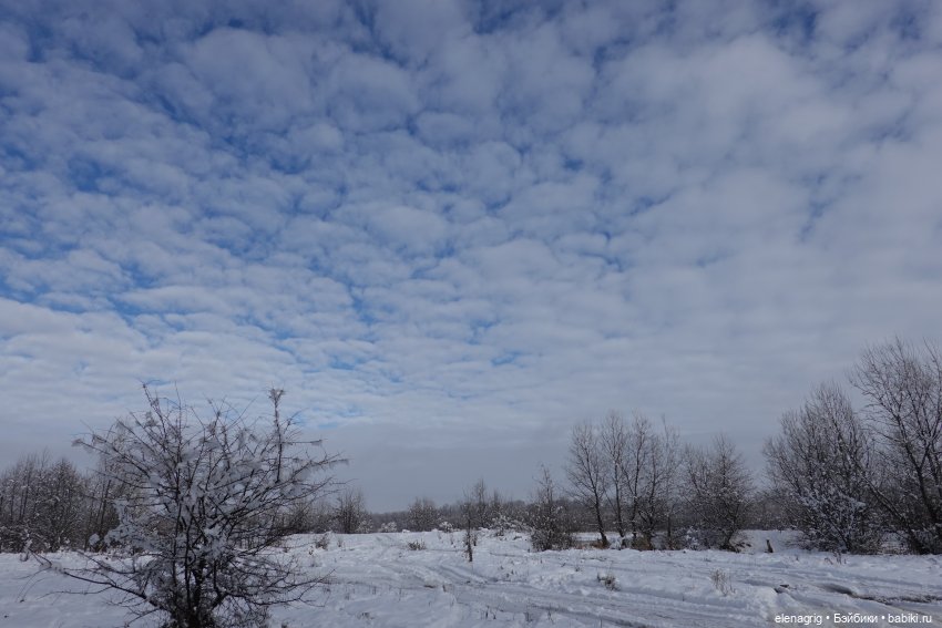 Как плюшечки ёлку в лесу наряжали (фото 2)