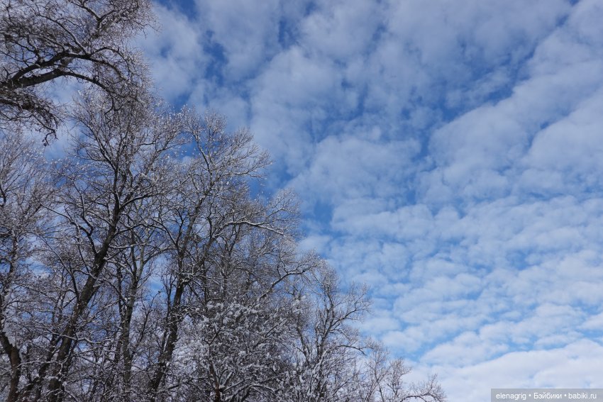 куклы Heidi Plusczok dolls, Хейди Плюсчок