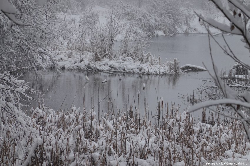 куколка Xiaomi monst