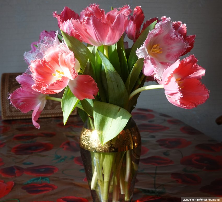 коллекционные куклы