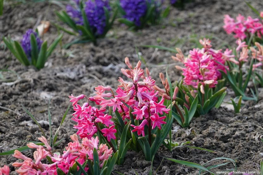 Цветочная долина — Куклы Heidi Plusczok (Хайди/Хейди Плюсчок) — фото (фото 2)