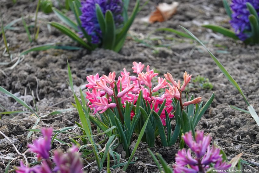Цветочная долина — Куклы Heidi Plusczok (Хайди/Хейди Плюсчок) — фото (фото 3)