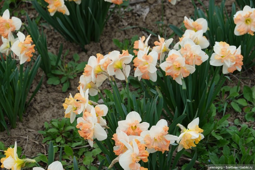 Цветочная долина — Куклы Heidi Plusczok (Хайди/Хейди Плюсчок) — фото (фото 4)