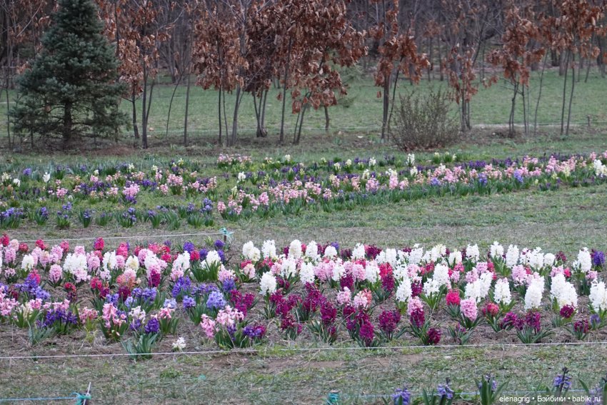 Цветочная долина — Куклы Heidi Plusczok (Хайди/Хейди Плюсчок) — фото (фото 6)