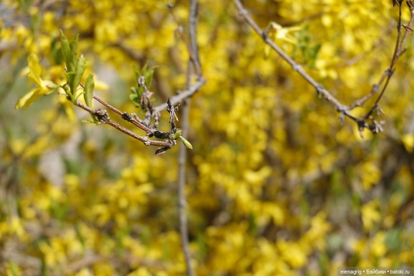 Весна, весна на улице — Текстильные игрушки и примитивы: кофейные (фото 4)