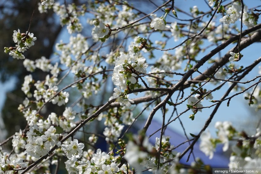 Весна, весна на улице — Текстильные игрушки и примитивы: кофейные (фото 5)