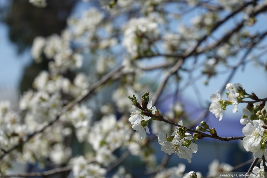 Весна, весна на улице — Текстильные игрушки и примитивы: кофейные (фото 6)