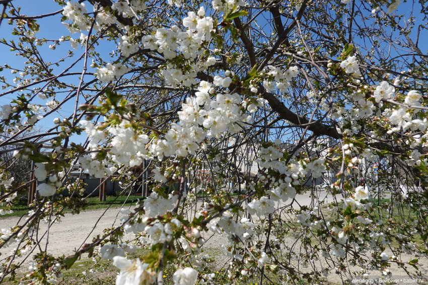 Весна, весна на улице — Текстильные игрушки и примитивы: кофейные