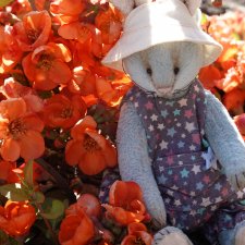 Весна, весна на улице