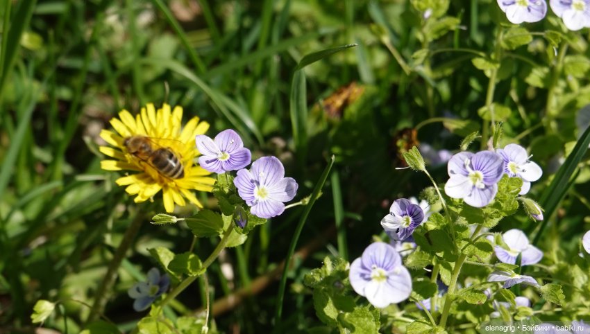 авторские игрушки