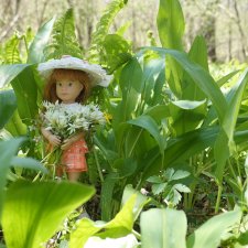 Крузелинг в Стране Дремучих Трав