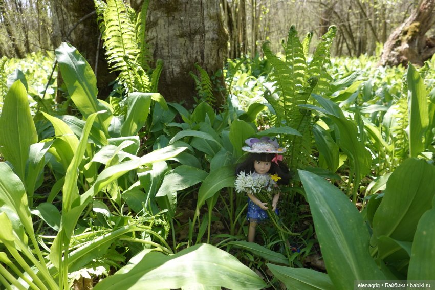 Крузелинг в Стране Дремучих Трав