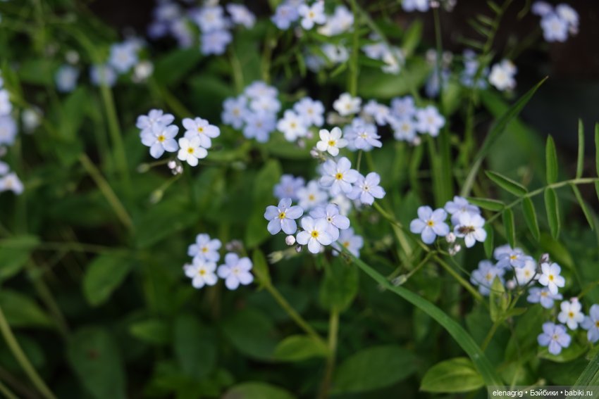 Натуся в горах — Разные шарнирные куклы (не БЖД): редкие (фото 5)