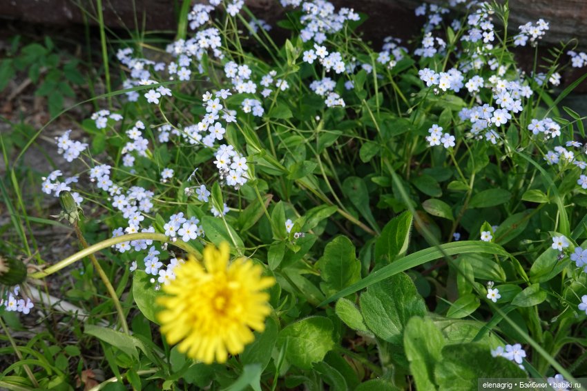 Натуся в горах — Разные шарнирные куклы (не БЖД): редкие (фото 4)