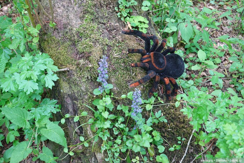 куклы Heidi Plusczok dolls, Хейди Плюсчок