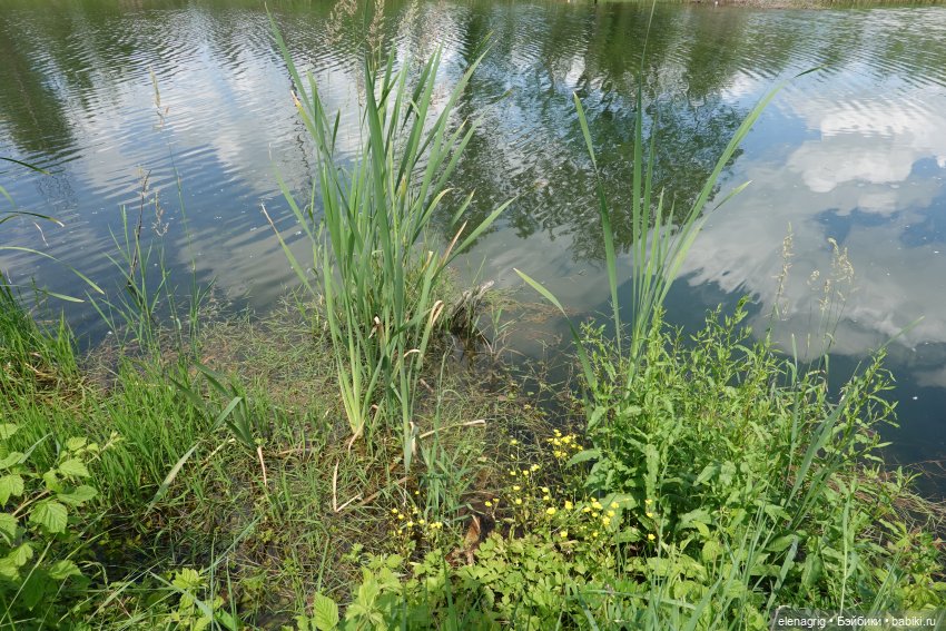 Сестрички Трикси от Роберта Тоннера