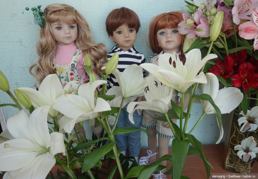 Maru and Friends